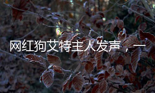 网红狗艾特主人发声，一段跨越物种的深厚情感