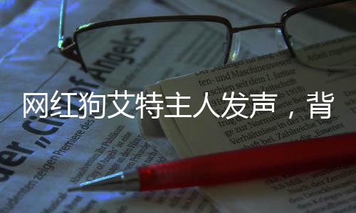 网红狗艾特主人发声，背后的故事和情感连结
