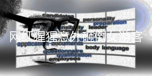 网红猩猩意外砸倒女游客事件引发关注