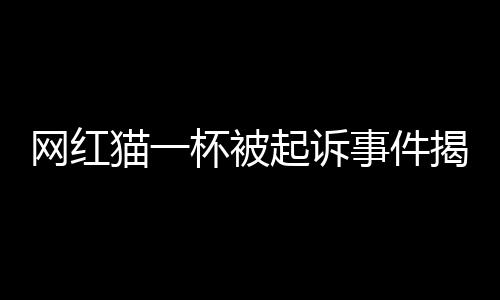 网红猫一杯被起诉事件揭秘