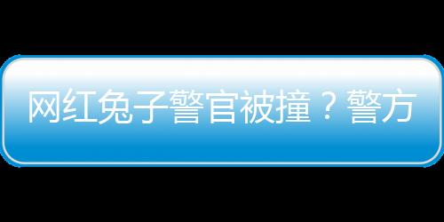 网红兔子警官被撞？警方辟谣