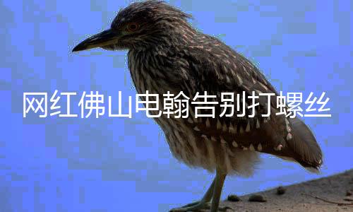 网红佛山电翰告别打螺丝生涯，开启全新科技人生