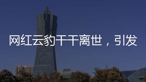 网红云豹干干离世，引发网友无尽哀思