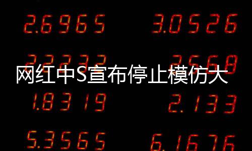 网红中S宣布停止模仿大S，重塑自我风格的新征程