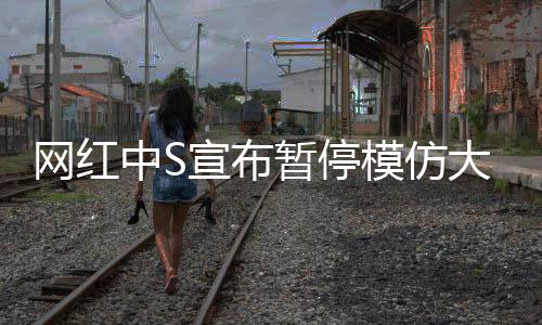 网红中S宣布暂停模仿大S，聚焦个人原创之路