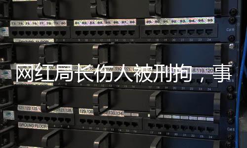 网红局长伤人被刑拘，事件深度解析
