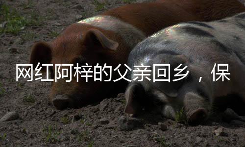 网红阿梓的父亲回乡，保安爸爸的故事温暖人心