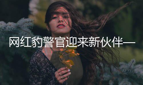 网红豹警官迎来新伙伴——共建和谐社区的新篇章