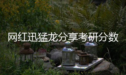 网红迅猛龙分享考研分数，高分背后的奋斗故事