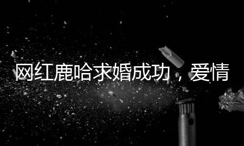 网红鹿哈求婚成功，爱情的美好时刻在社交媒体上绽放