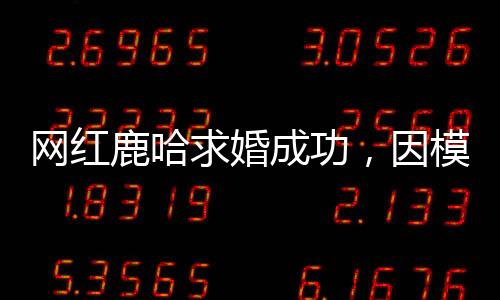 网红鹿哈求婚成功，因模仿鹿晗走红，爱情事业双丰收