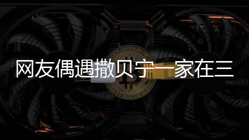 网友偶遇撒贝宁一家在三亚度假，休闲时光引发热议