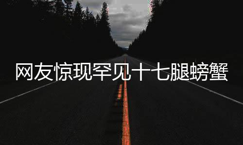 网友惊现罕见十七腿螃蟹，引发海洋奇观热议