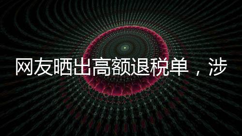 网友晒出高额退税单，涉税超五万的惊喜来自国家政策暖阳照入