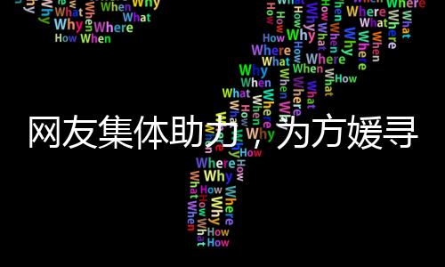 网友集体助力，为方媛寻包行动出谋划策