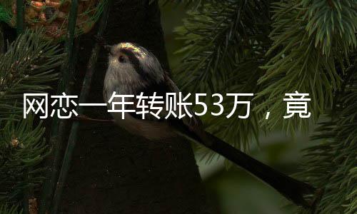 网恋一年转账53万，竟然是亲表妹，网恋风险警示故事