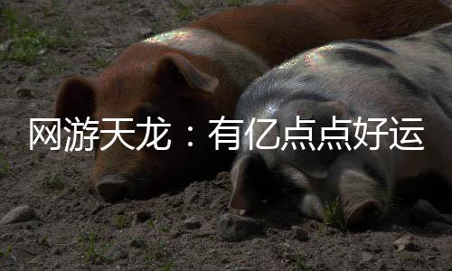 网游天龙：有亿点点好运