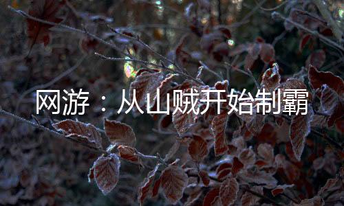 网游：从山贼开始制霸