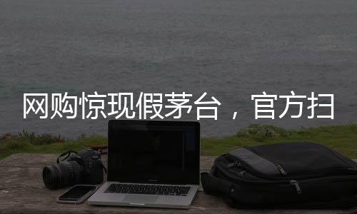 网购惊现假茅台，官方扫码竟为真——消费者警惕之下引发深度探讨