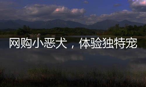 网购小恶犬，体验独特宠物之旅