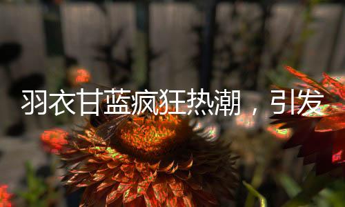 羽衣甘蓝疯狂热潮，引发抢购狂潮的神奇植物