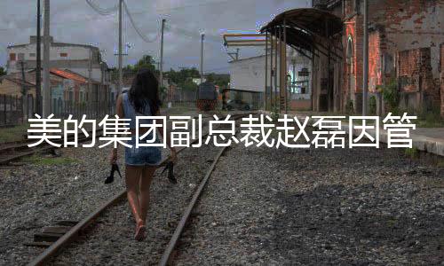 美的集团副总裁赵磊因管理不善被内部通报批评