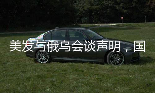 美发与俄乌会谈声明，国际焦点下的深度解读
