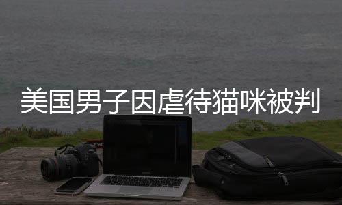 美国男子因虐待猫咪被判长达40年监禁，社会呼吁保护动物权益