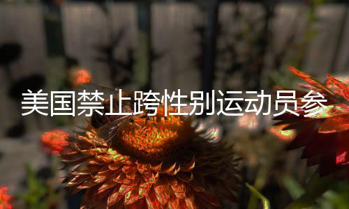 美国禁止跨性别运动员参加女子赛事，跨性别平等议题引发社会热议