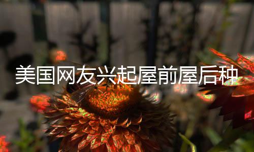 美国网友兴起屋前屋后种菜热潮
