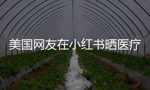 美国网友在小红书晒医疗账单，透明医疗背后的跨国讨论