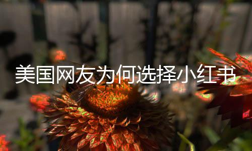 美国网友为何选择小红书？