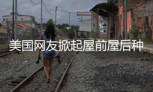 美国网友掀起屋前屋后种菜热潮