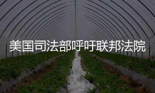 美国司法部呼吁联邦法院强制谷歌出售Chrome业务：认定非法垄断