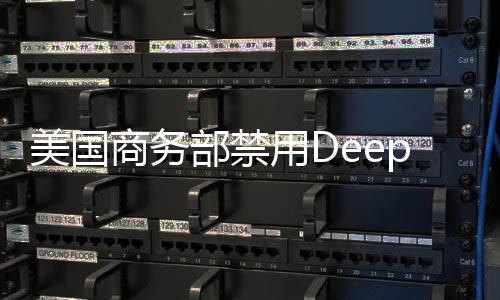 美国商务部禁用DeepSeek事件的背景及中国外交部回应探微