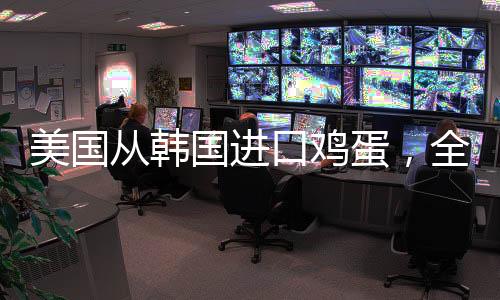 美国从韩国进口鸡蛋，全球禽蛋贸易的新动态