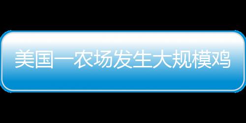 美国一农场发生大规模鸡蛋失窃案，逾十万枚鸡蛋被盗，警方展开调查
