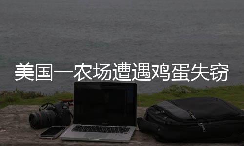 美国一农场遭遇鸡蛋失窃案，十万枚鸡蛋神秘消失