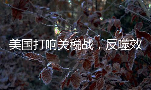 美国打响关税战，反噬效应波及全球
