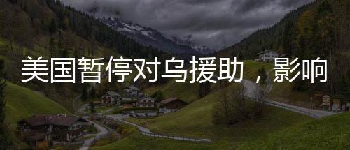 美国暂停对乌援助，影响与前景分析