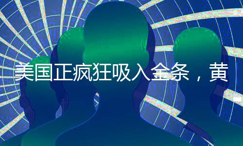 美国正疯狂吸入金条，黄金储备动态及全球金融趋势分析