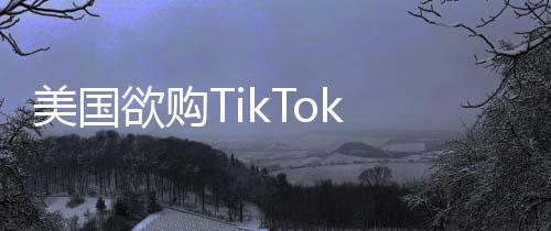 美国欲购TikTok 50%股份遭商务部回应，数据安全与市场公平性的重要考量