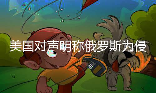 美国对声明称俄罗斯为侵略者持反对态度，探究各方立场与影响