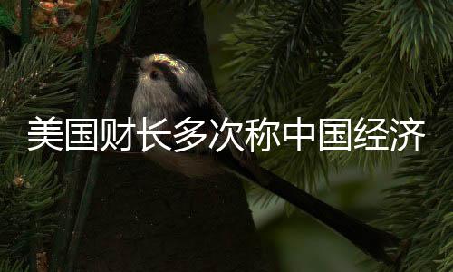 美国财长多次称中国经济过度依赖出口，观点分析与经济解读