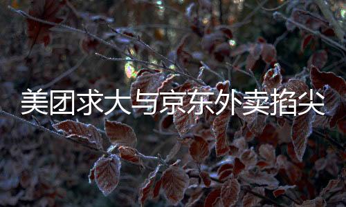 美团求大与京东外卖掐尖，两大巨头竞争态势分析
