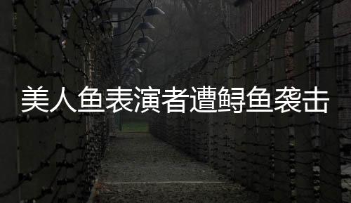 美人鱼表演者遭鲟鱼袭击 景区回应