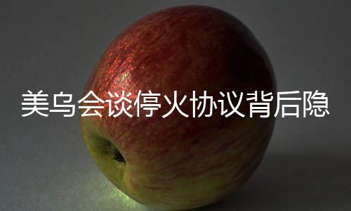 美乌会谈停火协议背后隐藏的复杂性分析，揭开可能的隐患与挑战之坑