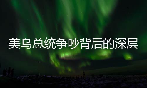 美乌总统争吵背后的深层冲突，乌克兰大使皱眉表情下的挑战与对话场景观察