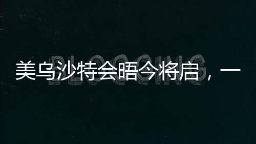 美乌沙特会晤今将启，一场涉及多重议题的国际对话正式开启