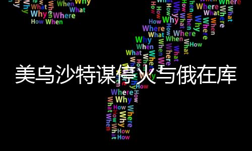 美乌沙特谋停火与俄在库尔斯克猛攻的最新动态分析